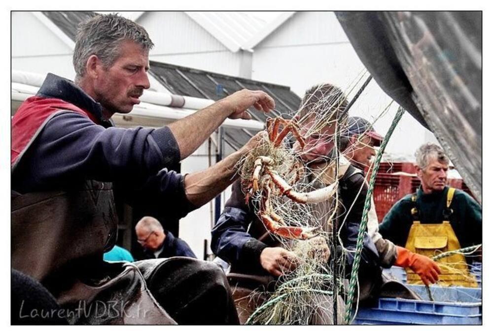 Superbe Propriete Bord De Mer - Le Clos Ricarda Sainte-Marguerite  Buitenkant foto