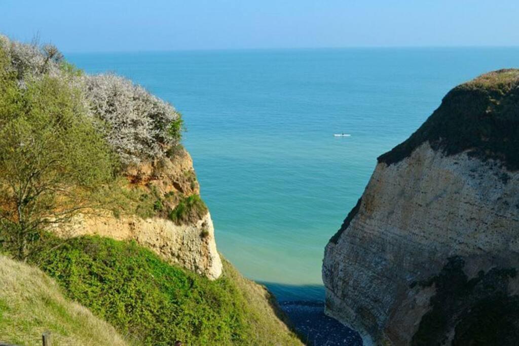 Superbe Propriete Bord De Mer - Le Clos Ricarda Sainte-Marguerite  Buitenkant foto